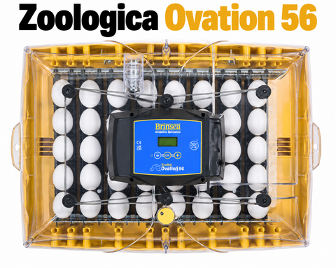 Brinsea Ovation 56 Zoologica (Parrot & Exotic Bird Incubator)