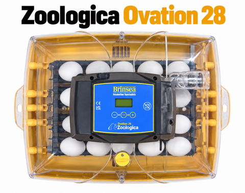 Brinsea Ovation 28 Zoologica (Parrot & Exotic Bird Incubator)
