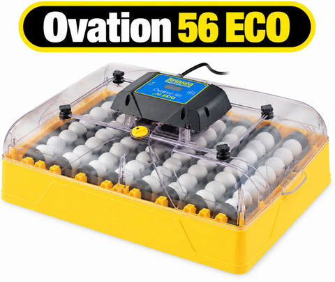 Brinsea Ovation 56 Eco Incubator