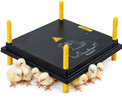 Comfort Chicks Heat Plate 40 x 40cm (30-35 day old chicks)
