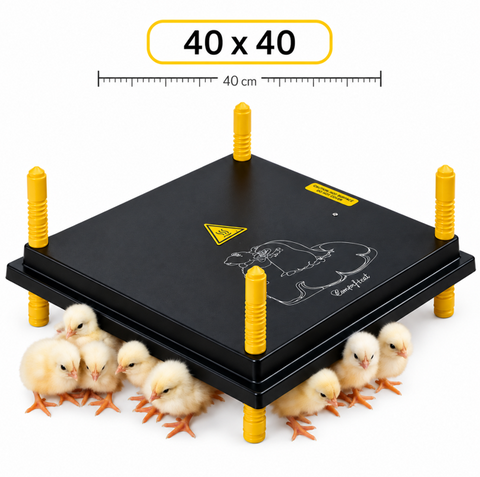 Comfort Chicks Heat Plate 40 x 40cm (30-35 day old chicks)