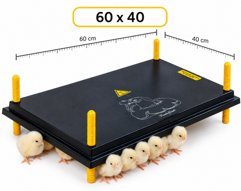 Comfort Chicks Heat Plate 60 x 40cm (50-60 day Old Chicks)