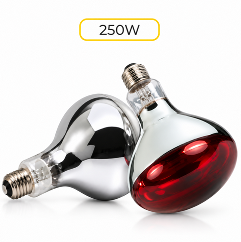 250 Watt InfraRed "Twin Pack" Bulb