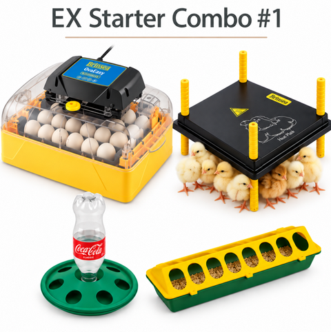 Brinsea Ovation 28 EX Incubator Starter Combo #1