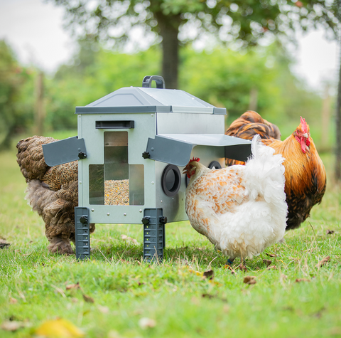 Robust Poultry Feeder 24kg