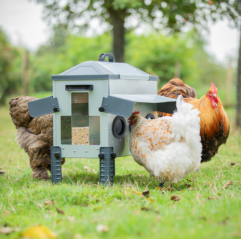 Robust Poultry Feeder 12kg