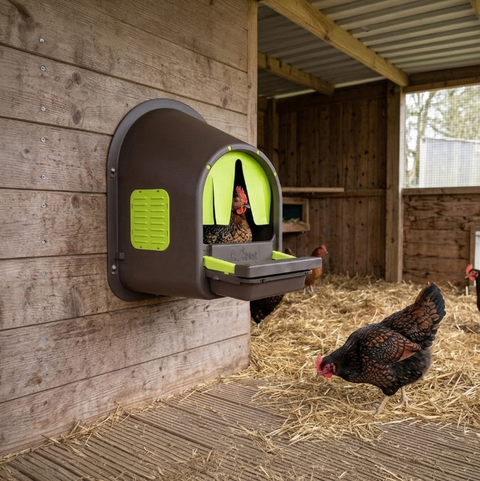 My CozyNest "Roll-Away" Nesting Box