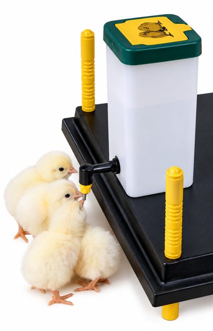 Chick Feeders & Drinkers