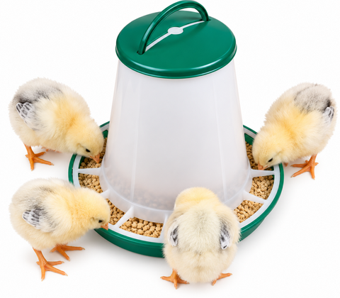 Chick Feeder 1kg with Handle & Cover