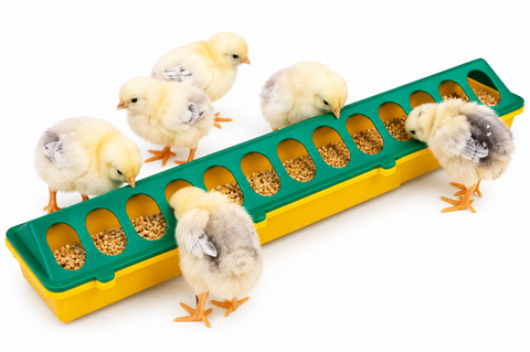 Chick Feeder Trough 500mm 28 Hole
