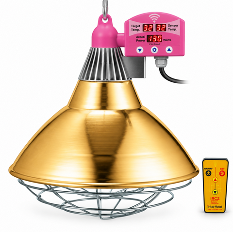 Heat Lamp Heavy Duty Large with Thermostat and Remote