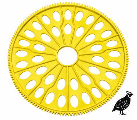 Maxi II Advance & EX Small Egg Disk- 40 quail eggs