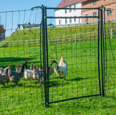 Hotline Rigid Poultry Hot-Gate System