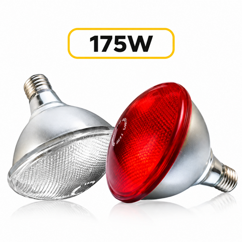 175 Watt InfraRed "Twin Pack" Bulb