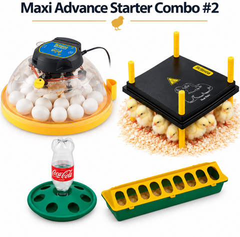 Brinsea  Maxi II Advance Incubator Starter Combo #2