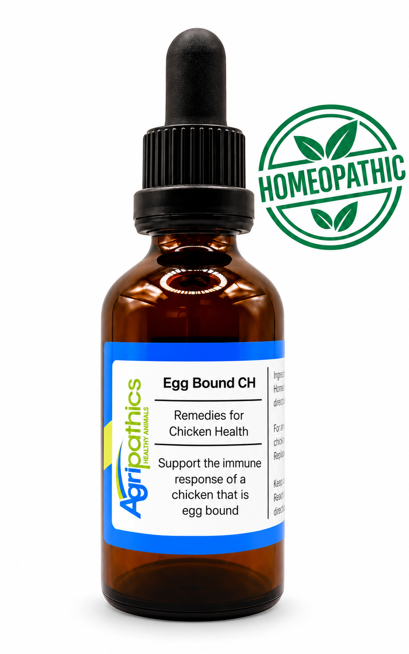 Egg Bound CH - egg bound chickens 50ml