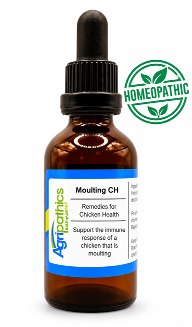 Moulting CH - moulting chickens 50ml