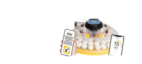 NEW Brinsea Connect Incubators