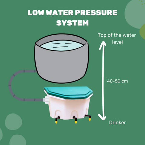 AviAqua 8L Drinker + 3 drinking cups