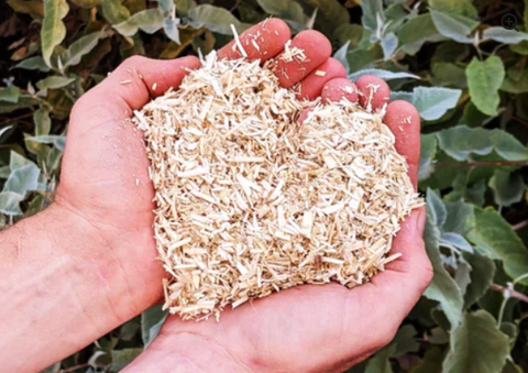 Industrial Hemp Hurd Animal Bedding - Fine