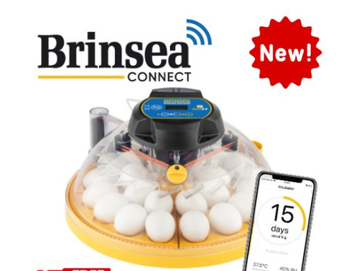 Brinsea Maxi 24 EX Connect App Controlled Incubator