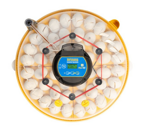 Brinsea NEW Maxi 48 EX Incubator
