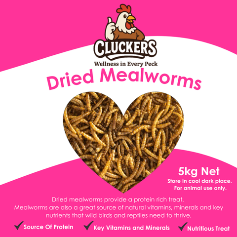 Cluckers Dried Meal Worms - 5kg