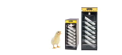 OvaEasy SALE!