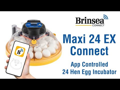 Brinsea Maxi 24 EX Connect App Controlled Incubator (Fully Automatic)