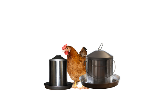 Stainless Drinkers and Feeders