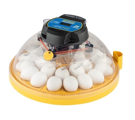 Maxi 24 Zoologica Exotic egg incubator