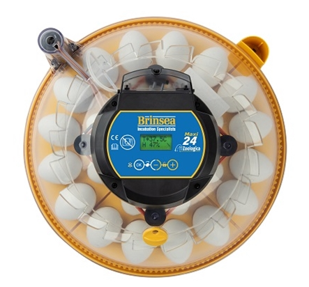 Maxi 24 Zoologica Exotic egg incubator
