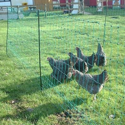 Portable Chicken Barrier Net with Support Posts