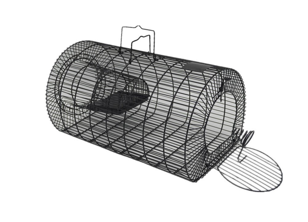 https://chookmanor.co.nz/cdn/shop/products/0002178_multi-catch-live-capture-rat-trap-large_1024x.jpg?v=1639000316