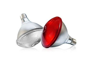 Heat Lamp InfraRed Twin Pack 100 Watt Par 32 – Chook Manor Ltd