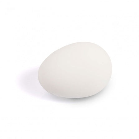 Solid Rubber Eggs White