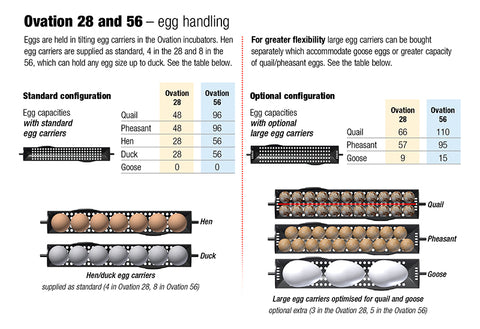 Large Egg Carrier for Ovation 28 and 56