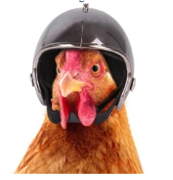 Chicken Helmet Silver