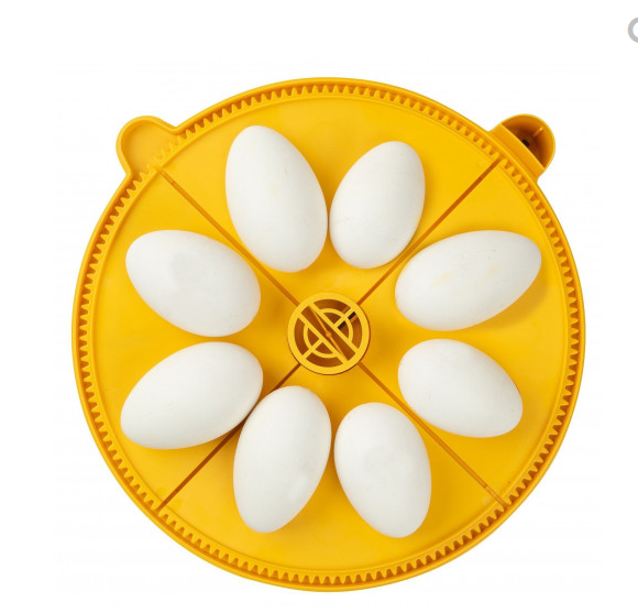 Maxi 24 Egg Disk Quadrant Pack for 8 goose Eggs