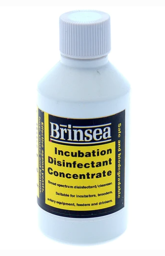 Incubation Disinfectant Concentrate 100mls SHORT DATED