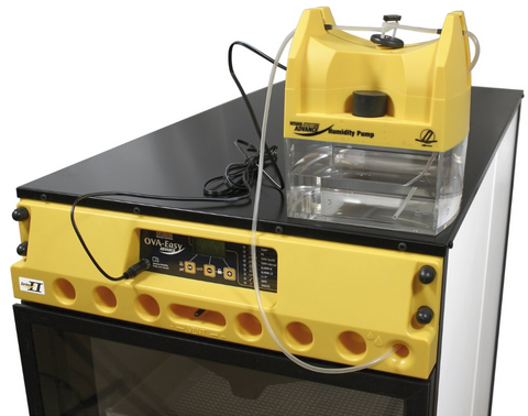 Brinsea OvaEasy 190 EX Series II Incubator