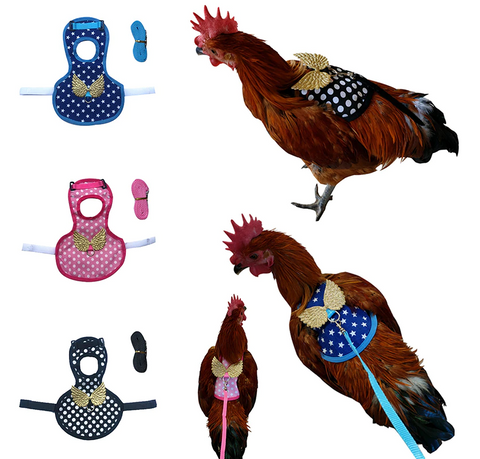 Chicken Harness With Lead Blue