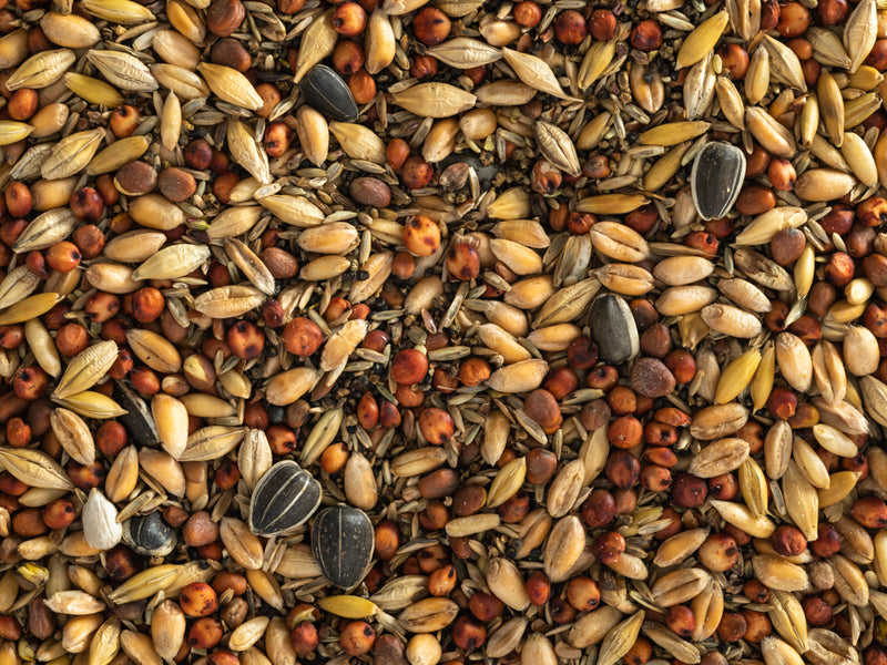 Topflite Wild Bird Seed Mix -  Fine 20kg