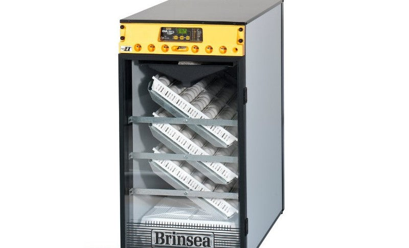 Brinsea OvaEasy 380 Advance Series II EX Incubator